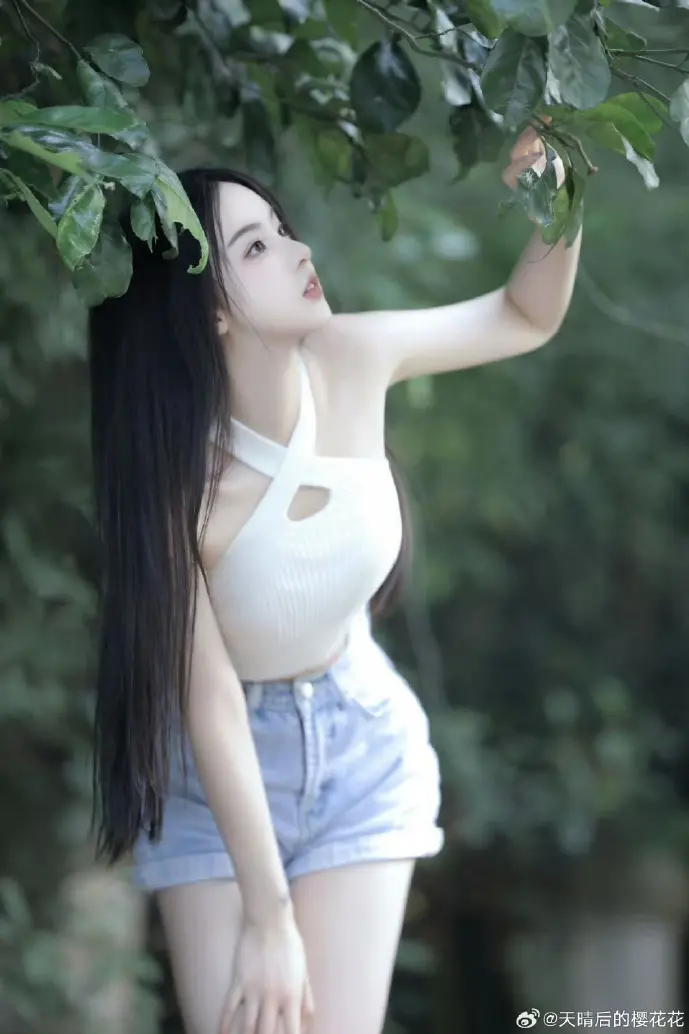 ADM下载速度对比图